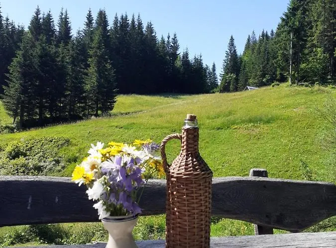 Brunarica Na Goreljeku, Pokljuka * Bohinj