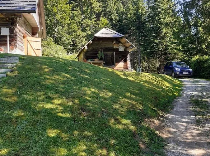 Brunarica Na Goreljeku, Pokljuka