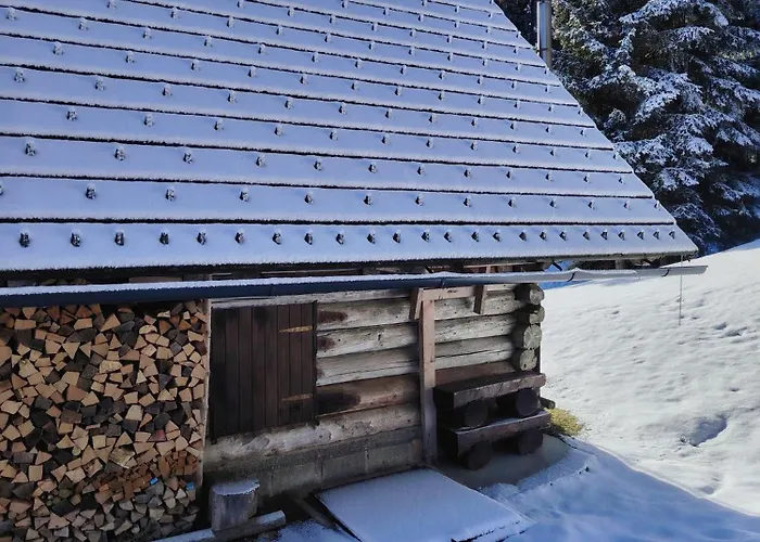 Brunarica Na Goreljeku, Pokljuka *