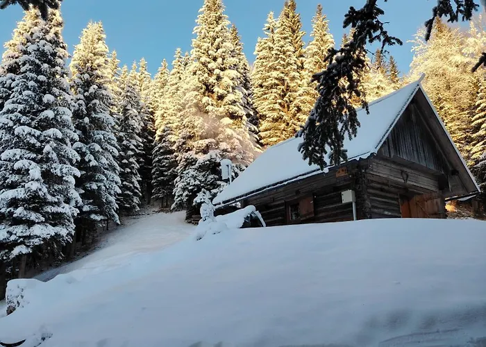 Brunarica Na Goreljeku, Pokljuka * Bohinj