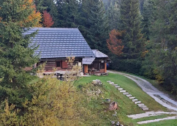 Brunarica Na Goreljeku, Pokljuka *