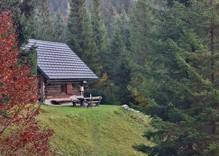 Brunarica Na Goreljeku, Pokljuka