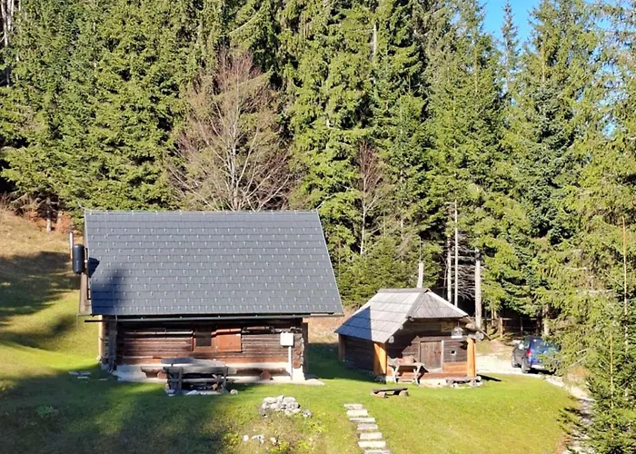 Daire Brunarica Na Goreljeku, Pokljuka *