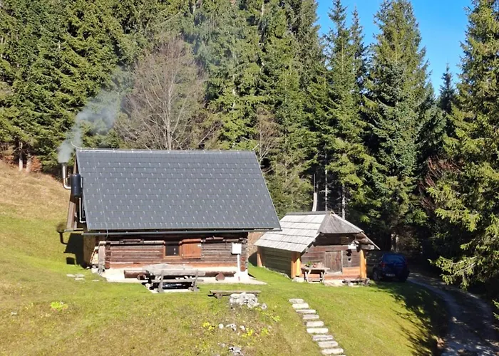 Brunarica Na Goreljeku, Pokljuka *