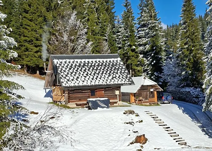 Brunarica Na Goreljeku, Pokljuka Apartma Bohinj