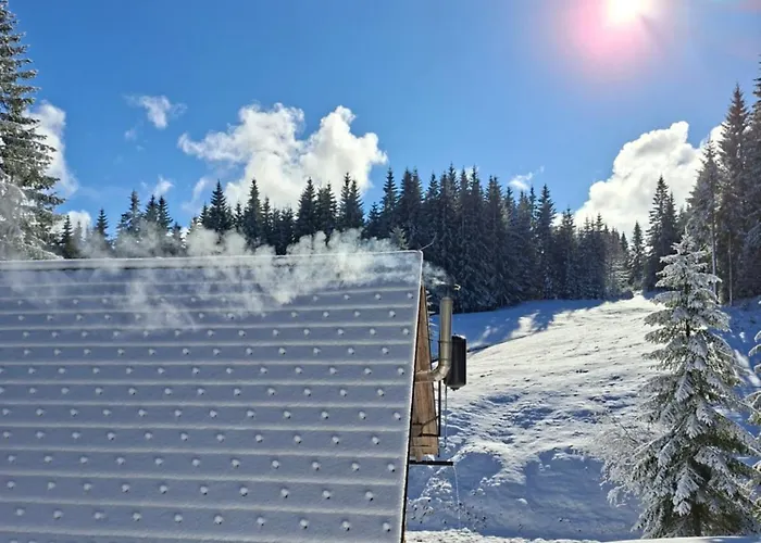 Apartament Brunarica Na Goreljeku, Pokljuka *