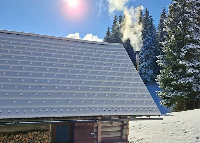 Brunarica Na Goreljeku, Pokljuka *