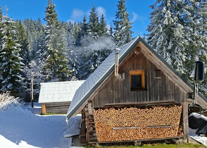 Daire Brunarica Na Goreljeku, Pokljuka