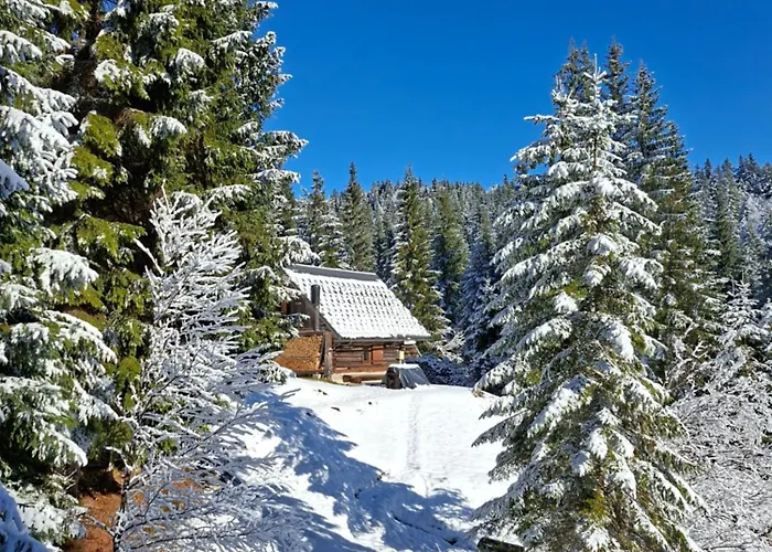 Appartement Brunarica Na Goreljeku, Pokljuka Bohinj
