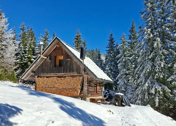 Brunarica Na Goreljeku, Pokljuka Bohinj
