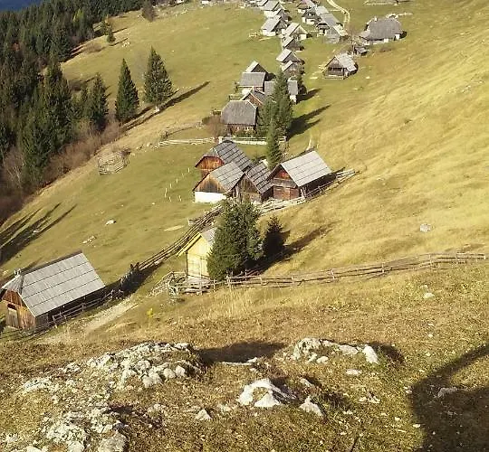 Brunarica Na Goreljeku, Pokljuka Bohinj
