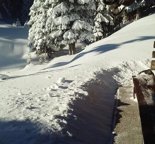 Brunarica Na Goreljeku, Pokljuka Daire *